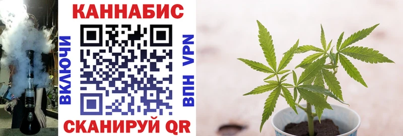 Наркотические вещества Буй мега ссылка  КОКАИН  Меф  Каннабис  А ПВП 