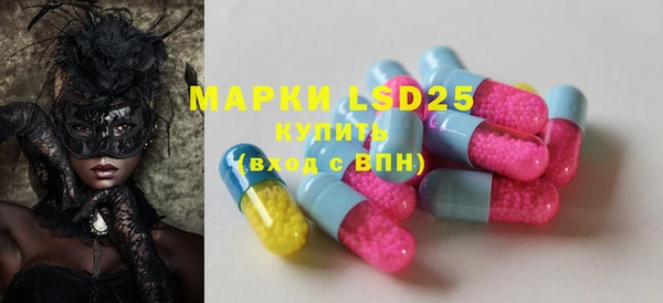 прущие грибы Баксан