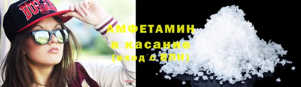 прущие грибы Баксан