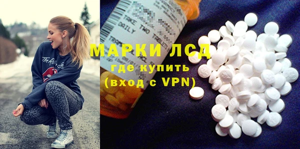 прущие грибы Баксан