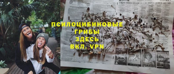 прущие грибы Баксан