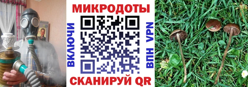купить наркотик  Буй  МЕГА ONION  Галлюциногенные грибы GOLDEN TEACHER 